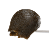 THCa Afghan Hash: Purple Punch product image