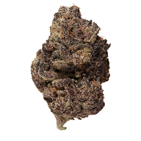 Sunset Sherbert THCa Flower - solo bud shot, floating effect copy