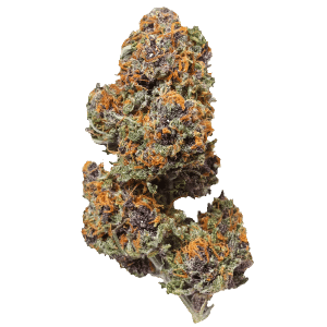 Pluto Kush THCa Flower product image