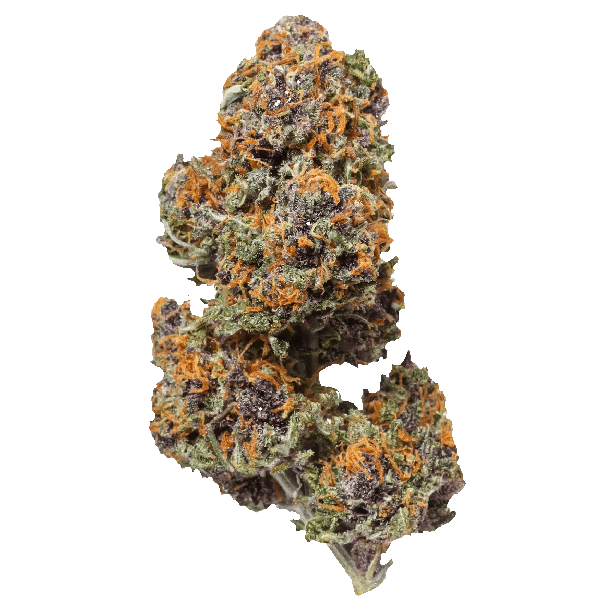 Pluto Kush THCa Flower product image