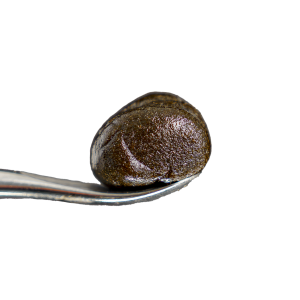 Fresh Frozen Bubble Hash - 2 grams